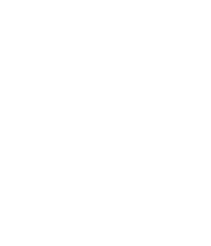 The Vinci Team at Realtor.com